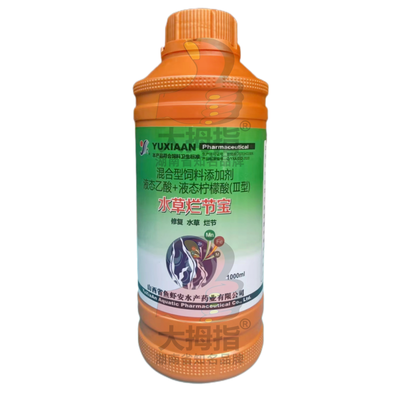 水草烂节宝