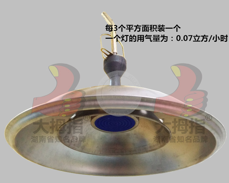 沼气取暖灯,母猪产床,大拇指母猪产床,大拇指养猪设备,采食槽,长沙养猪设备,猪人工授精,长沙养猪设备公司,湖南猪人工授精,湖南猪场设备,湖南大拇指畜牧机械制造有限公司,长沙大拇指养猪设备厂,湖南长沙养猪场器械